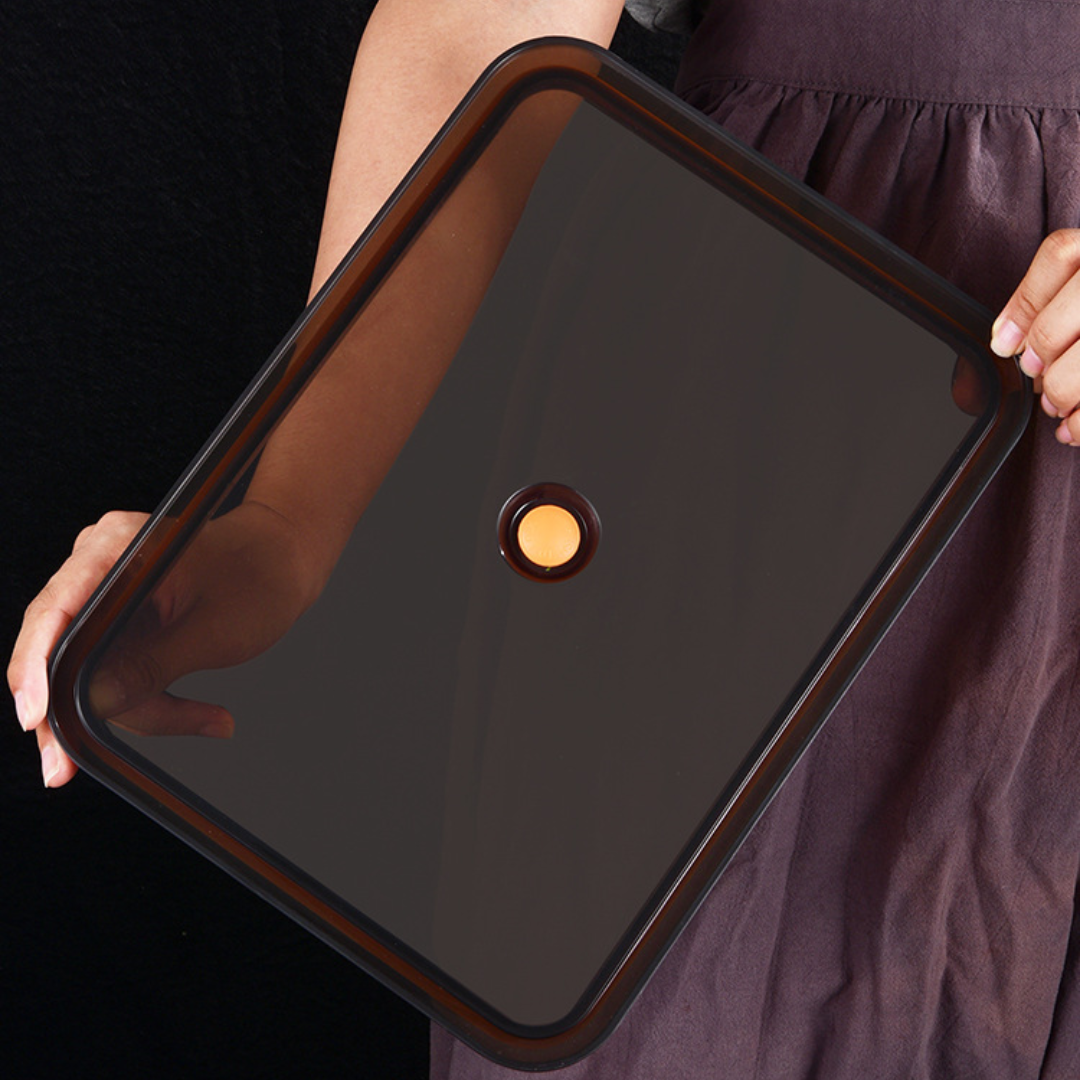 Recipiente para alimentos antibacteriano em aço inoxidável 304 com tampa a vácuo (22,5 x 15 x 6 cm)
