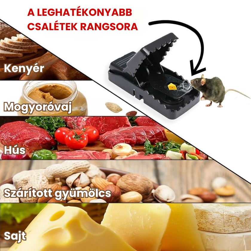 🐭 BestSeller™ – Patkányprés-Csapda – Masszív És Nagy Teherbírású Csapda