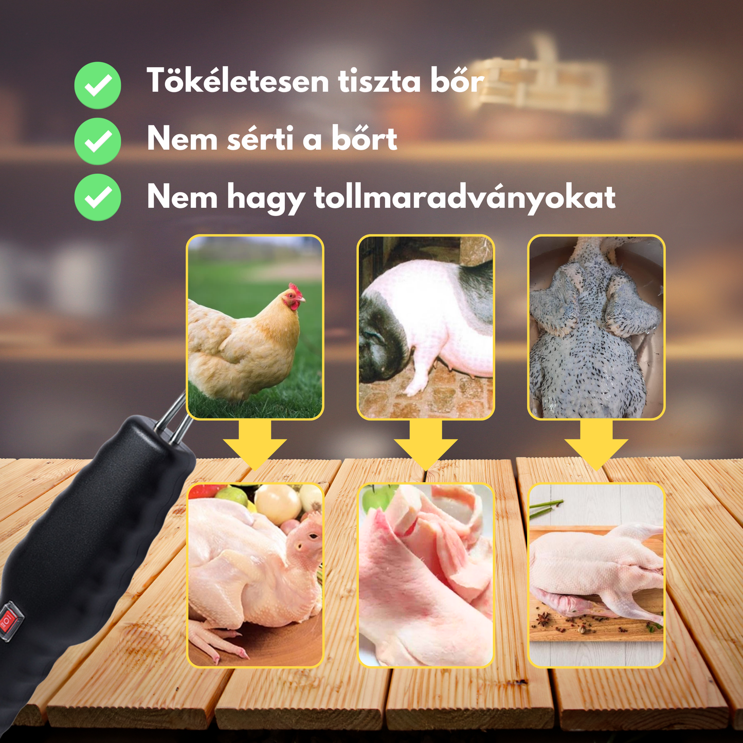 Hordozható baromfi tollkopasztó – percek alatt eltávolítja az összes tollat