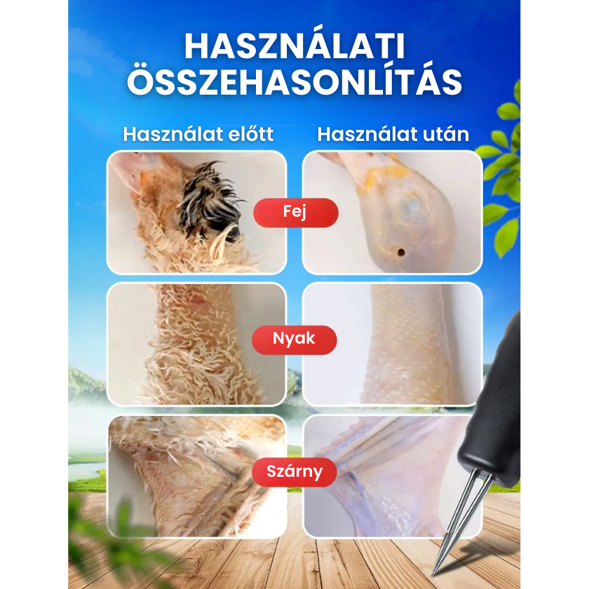 🇭🇺 Nagy teljesítményű baromfi tollkopasztó gép