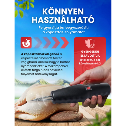 🇭🇺 Nagy teljesítményű baromfi tollkopasztó gép