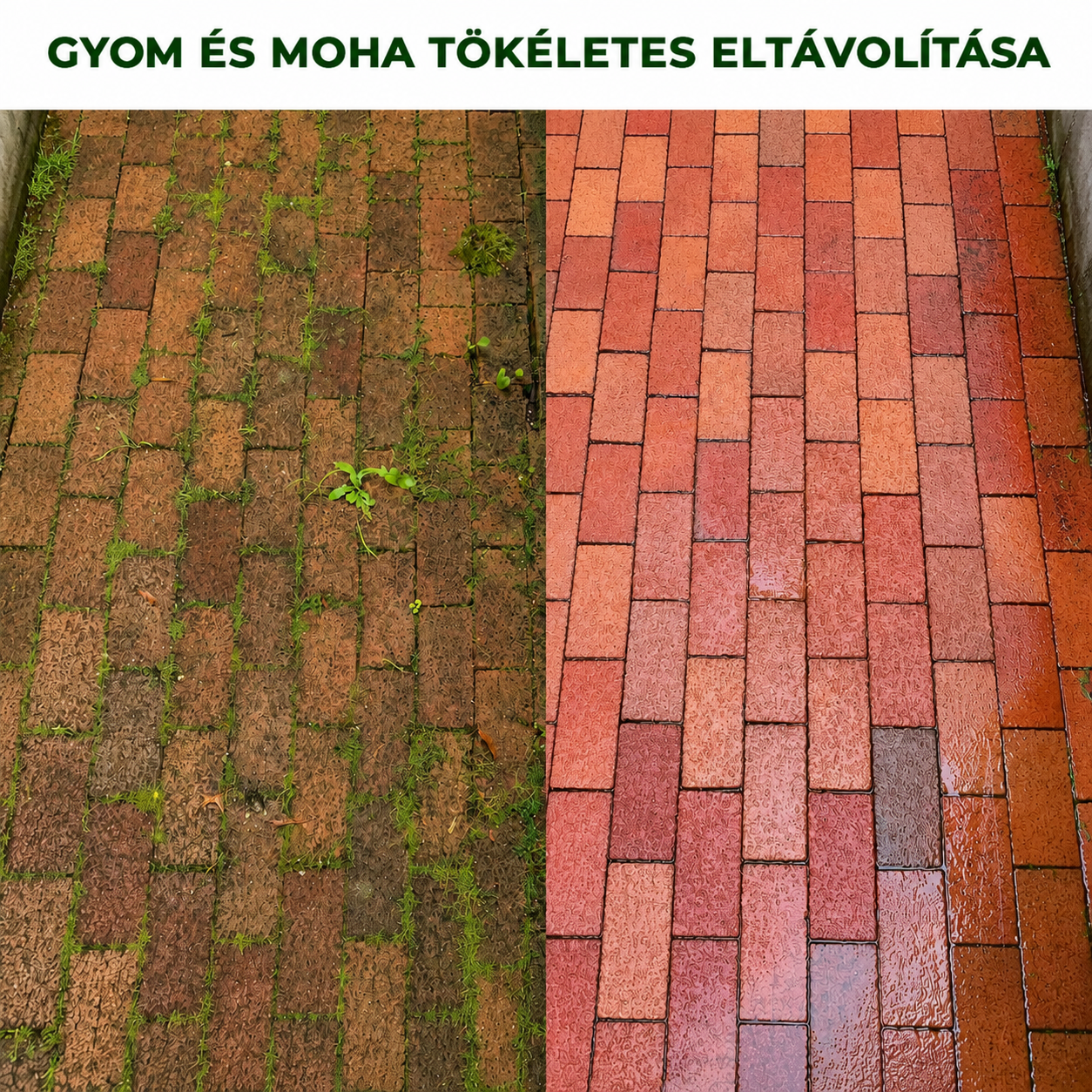 6 erős, fonott acélhuzalos fűkaszafej száraz fű és mélyen gyökerező gyomok gyors eltávolításához