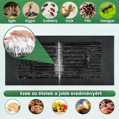 Professzionális ragasztós egércsapdák – extra nagy méret a gyorsabb befogásért