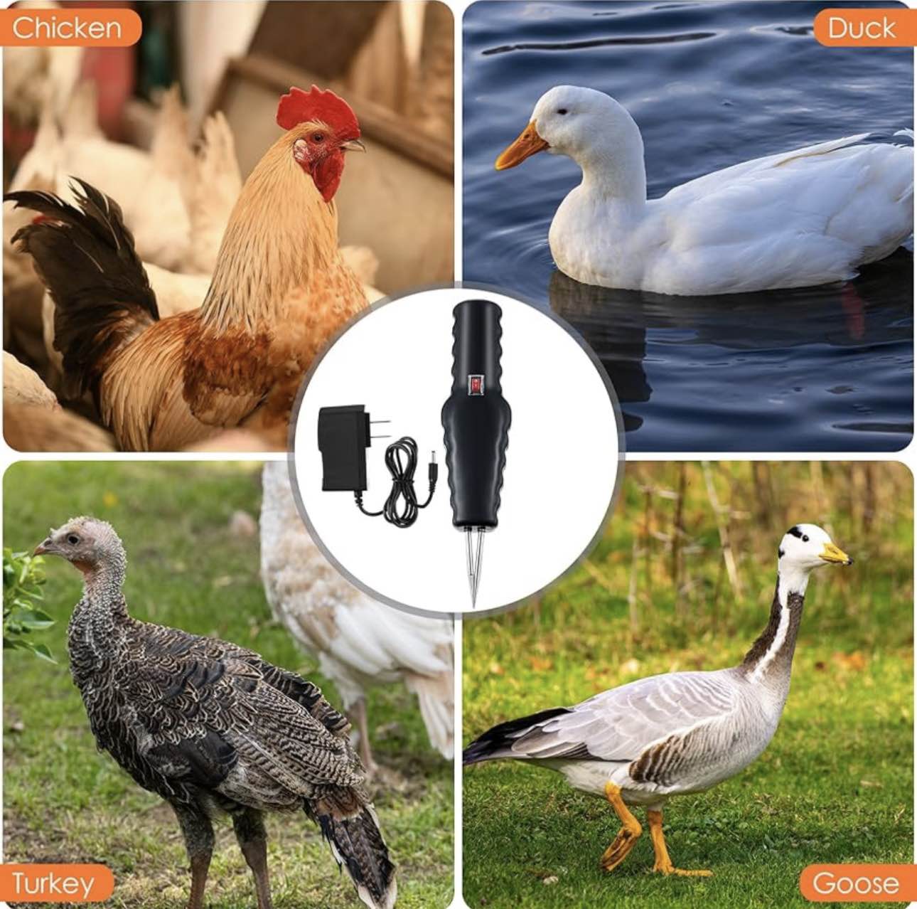 🦃 Elektromos tollkopasztó csirkékhez, kacsákhoz és fürjekhez – egyszerű, gyors és hatékony