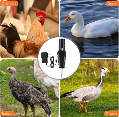 🦃 Elektromos tollkopasztó csirkékhez, kacsákhoz és fürjekhez – egyszerű, gyors és hatékony
