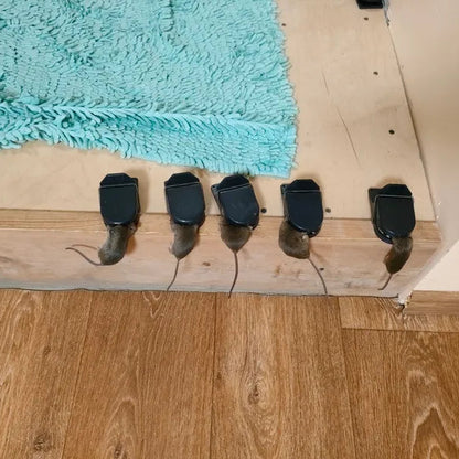 🇭🇺 BestSeller™ – Csapda patkányok ellen – Trapper T-Rex